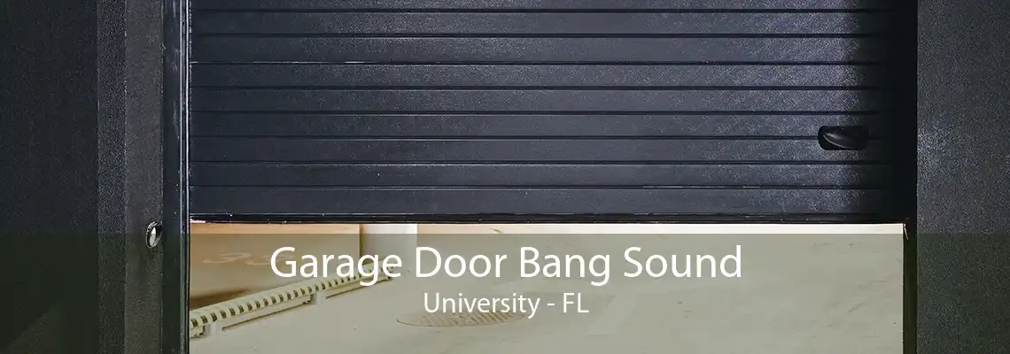 Garage Door Bang Sound University - FL