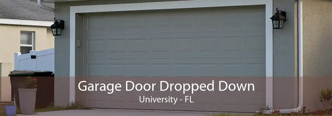 Garage Door Dropped Down University - FL