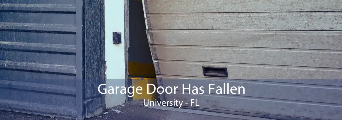 Garage Door Has Fallen University - FL