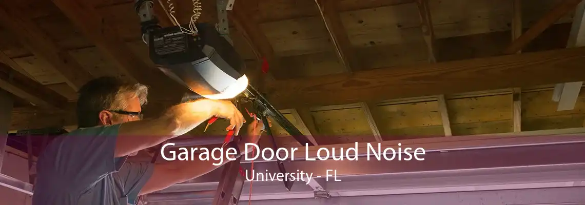 Garage Door Loud Noise University - FL