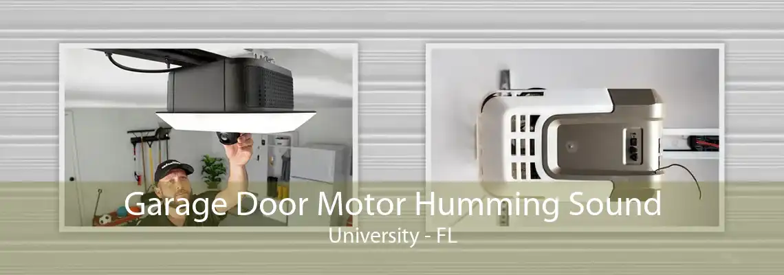 Garage Door Motor Humming Sound University - FL