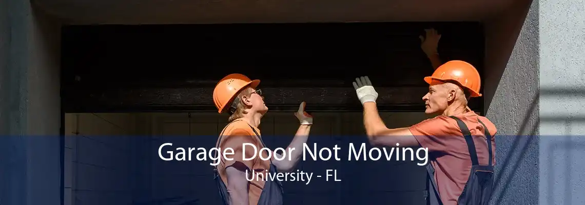 Garage Door Not Moving University - FL