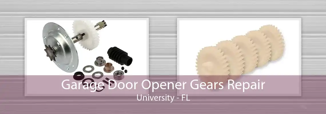 Garage Door Opener Gears Repair University - FL