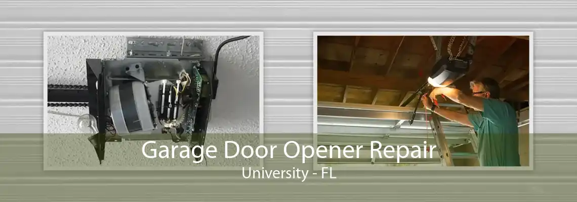 Garage Door Opener Repair University - FL