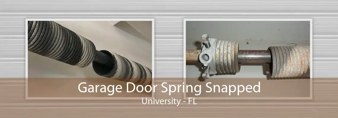 Garage Door Spring Snapped University - FL