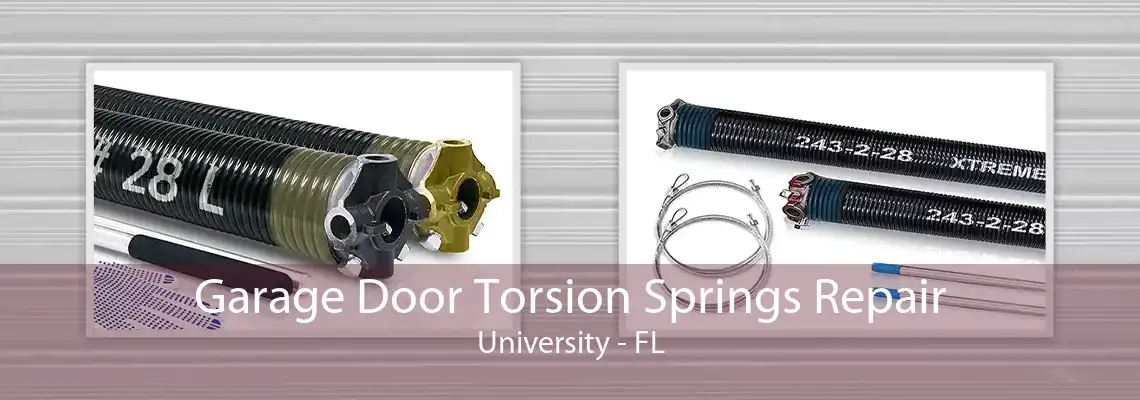 Garage Door Torsion Springs Repair University - FL