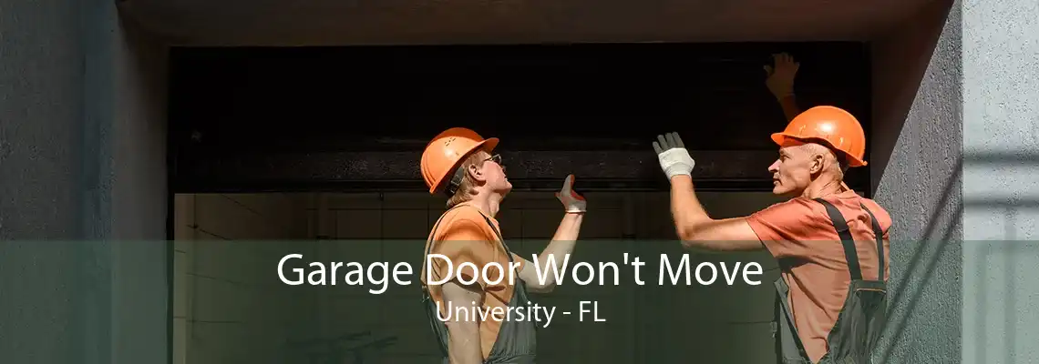 Garage Door Won't Move University - FL